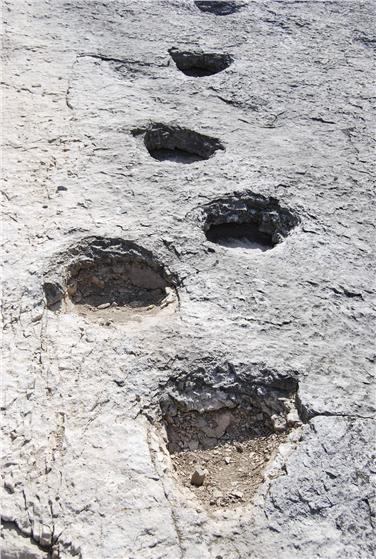 Dinosaurierspuren in Lavini di Marco