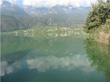 Um eine Ausbreitung der viralen Infektionskrankheit der Karpfen zu verhindern, dürfen keine Fische aus dem Kalterer See entnommen und in andere Gewässer gebracht werden. Foto: LPA/Amt für Jagd und Fischerei