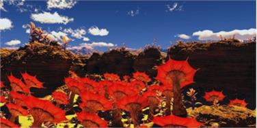 Um ferne Welten und Außerirdische geht es im neuen Film, der am Samstag im Planetarium zu sehen ist - Foto: Planetarium Südtirol