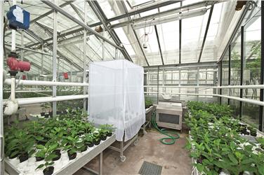 Auf dem Gelände des Versuchszentrums Laimburg entstehen ein Gewächshaus und eine Versuchsfläche für Uni Bozen - Foto: LPA