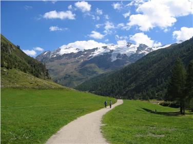 Forsttagsatzungen sind öffentlich zugänglich und werden in jeder Gemeinde einmal im Jahr veranstaltet. Foto: LPA/Abteilung Forstwirtschaft