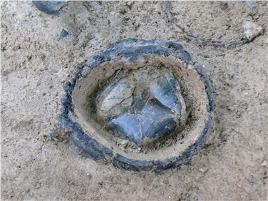 Ein Urnengrab zum Zeitpunkt der Freilegung (FOTO: LPA)