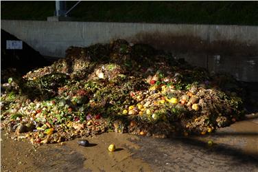 Bioabfälle: Pro Jahr werden mehr als 35.000 Tonnen getrennt gesammelt