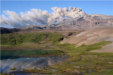 Vortrag im Naturmuseum: Die Flora der Anden Argentiniens und Chiles