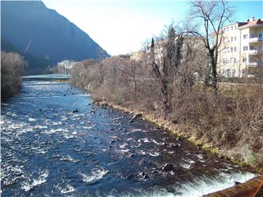 Uferpflege ist Hochwasserschutz: Die in der kommenden Woche beginnenden Arbeiten am Ufer der Talfer in Bozen sind Teil eines mehrjährigen Pflegeplanes. Foto: LPA/Amt für Wildbach- und Lawinenverbauung Nord