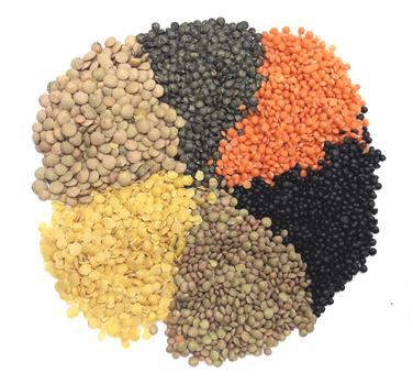 Bei der Genuss-Schule Südtirol dreht sich im März alles ums Thema Linse