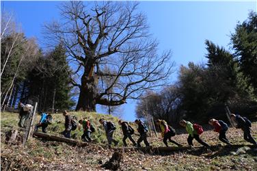Neben Erhaltung, Pflege, Schutz des Waldes und der Almen, des Wasserhaushaltes und der Umwelt gehört auch die Bewusstseinsbildung zu den Arbeiten des Landesforstdienstes; im Bild bei einem Projekt mit der Mittelschule Sarnthein. Foto: LPA/Maja Clara