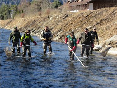 Viereinhalb Stunden dauerte die Abfisch-Aktion, bei der 124 Fische vom Pfitscherbach in den Jaufentalbach versetzt wurden. Foto: LPA/Amt für Jagd und Fischerei