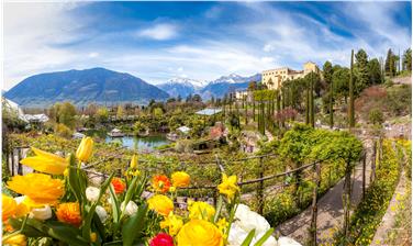 Die Gärten von Schloss Trauttmansdorff sind Erlebniswelt zwischen Natur, Kultur und Kunst. Foto: LPA/Gärten von Schloss Trauttmansdorff