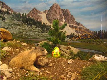 Ostereiersuche im Naturmuseum