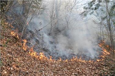 Beim Umgang mit Feuer ist immer Vorsicht geboten, vor allem in Zeiten erhöhter Waldbrandgefahr. Foto: LPA/Amt für Forstverwaltung