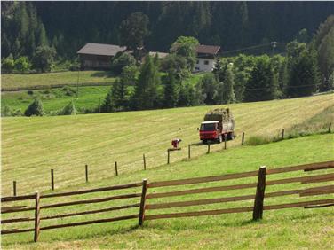 Auch für Zusatzgeräte für die Heuernte kann es nun eine Förderung geben (Archivbild Sarntal). Foto: LPA/Abteilung Landwirtschaft