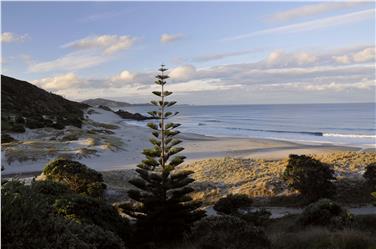 Die Nordküste Neuseelands - Foto: Dejori