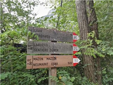 Euregio-Ort des Monats: Der Dürerweg - Foto: EVTZ