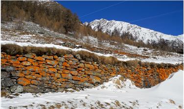 La Ripartizione natura, paesaggio e sviluppo del territorio sostiene interventi per la valorizzazione e la cura del paesaggio, tra i quali anche quelli per il mantenimento dei muri a secco (Foto: USP/Natura e paesaggio)