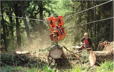 I proprietari boschivi e le imprese forestali possono fare richiesta di contributo alla Provincia per l’acquisto di macchinari per la gestione del bosco (Foto: USP/ufficio economia montana)