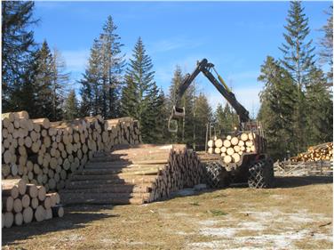 Si sono dovuti realizzare degli ulteriori piazzali di deposito. Nell'immagine uno di questi piazzali con un forwarder Foto: Ufficio pianificazione forestale