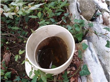 Per prevenire la proliferazione della zanzara tigre, da maggio a ottobre bisogna evitare assolutamente ogni ristagno d’acqua all’aperto svuotando sottovasi, annaffiatoi e secchi - Foto: Agenzia ambiente e tutela clima/Filippo Cassina