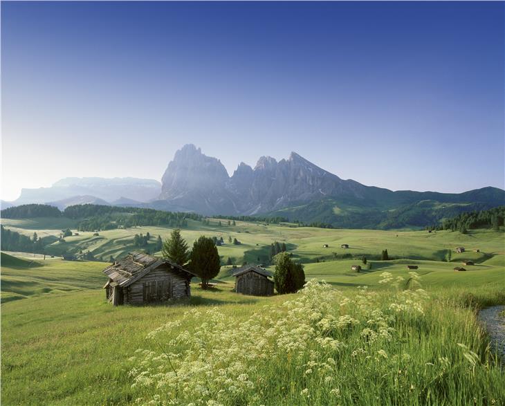 Contributi alle imprese distributrici di energia per i nuovi allacciamenti alla rete elettrica di malghe e rifugi (Foto IDM/Clemens Zahn)