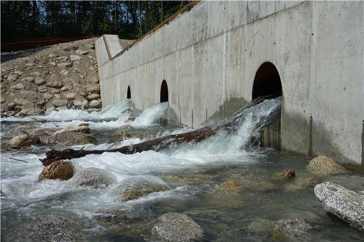 Realizzata dall'Ufficio bacini montani Ovest un'opera di contenimento lungo il rio Ziel nei pressi di Parcines in Val Venosta Foto: USP/Agenzia per la protezione civile