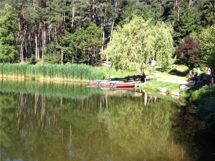 Al via lavori di ripristino dello stato naturale del Lago di Fiè (Foto: ASP/Agenzia ambiente)