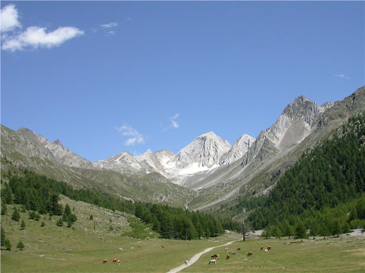 L'amministrazione cerca una direttrice o un direttore per l'Ufficio Parchi naturali. Nella foto il Gruppo di Tessa (Foto ASP)