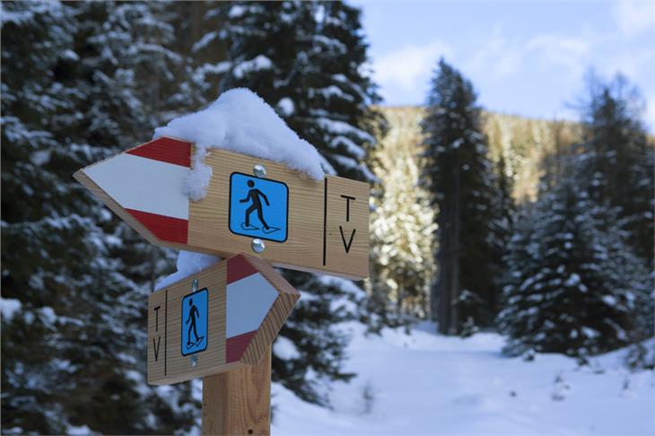 Sarà snellita la struttura dell'organizzazione del turismo in Alto Adige (Foto: IDM/Frieder Blickle)