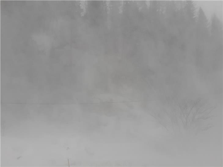 Un'immagine scattata oggi (5 febbraio) alle 10.30 a Predoi (foto ASP/Comune Predoi)