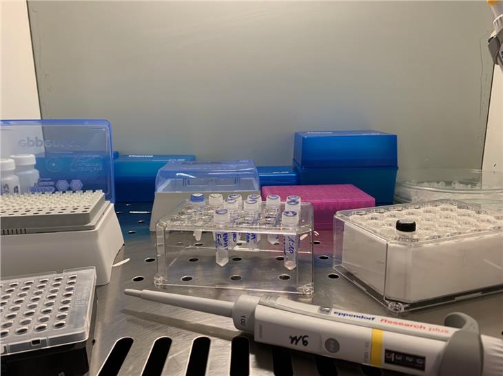 Analisi in corso sui pazienti sospetti di essere affetti da Coronavirus (Foto ASDAAI