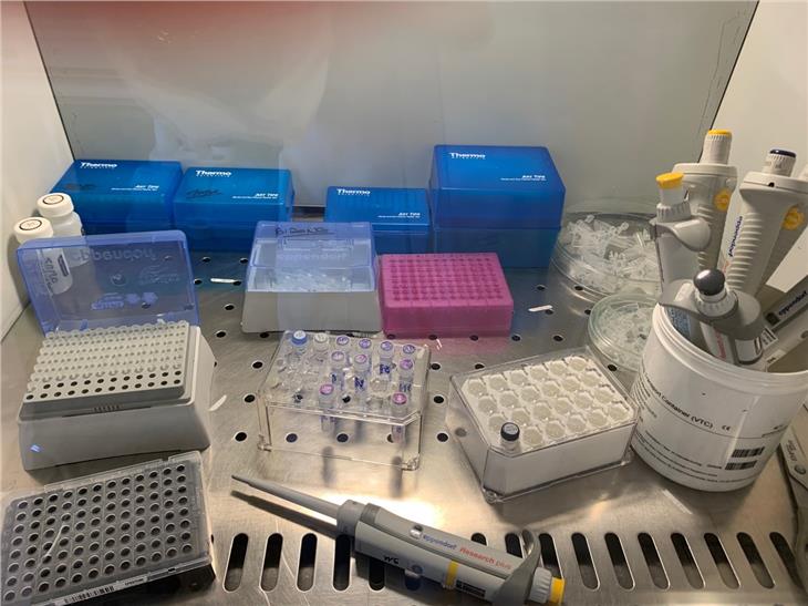 I test quotidianamente condotti dall'Azienda Sanitaria si attestano a una cinquantina. (Foto: Azienda Sanitaria dell'Alto Adige)