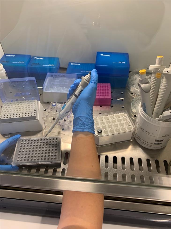 Al momento attuale quindi 623 persone sono risultate positive in Alto Adige all’infezione Sars-CoV-2. (Foto: asdaa)